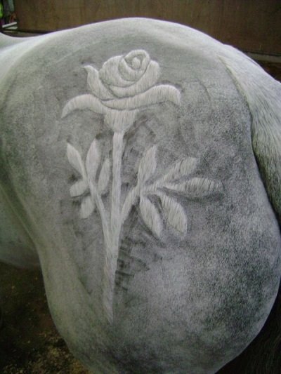 Dapple grey rose equine clipper art